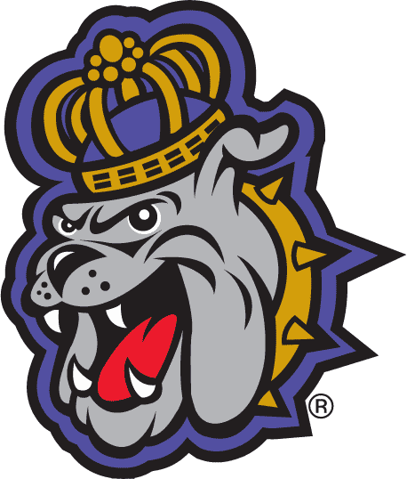 James Madison Dukes 2002-Pres Secondary Logo v2 diy DTF decal sticker